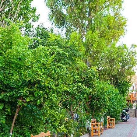 珀塔克达利安酒店 酒店